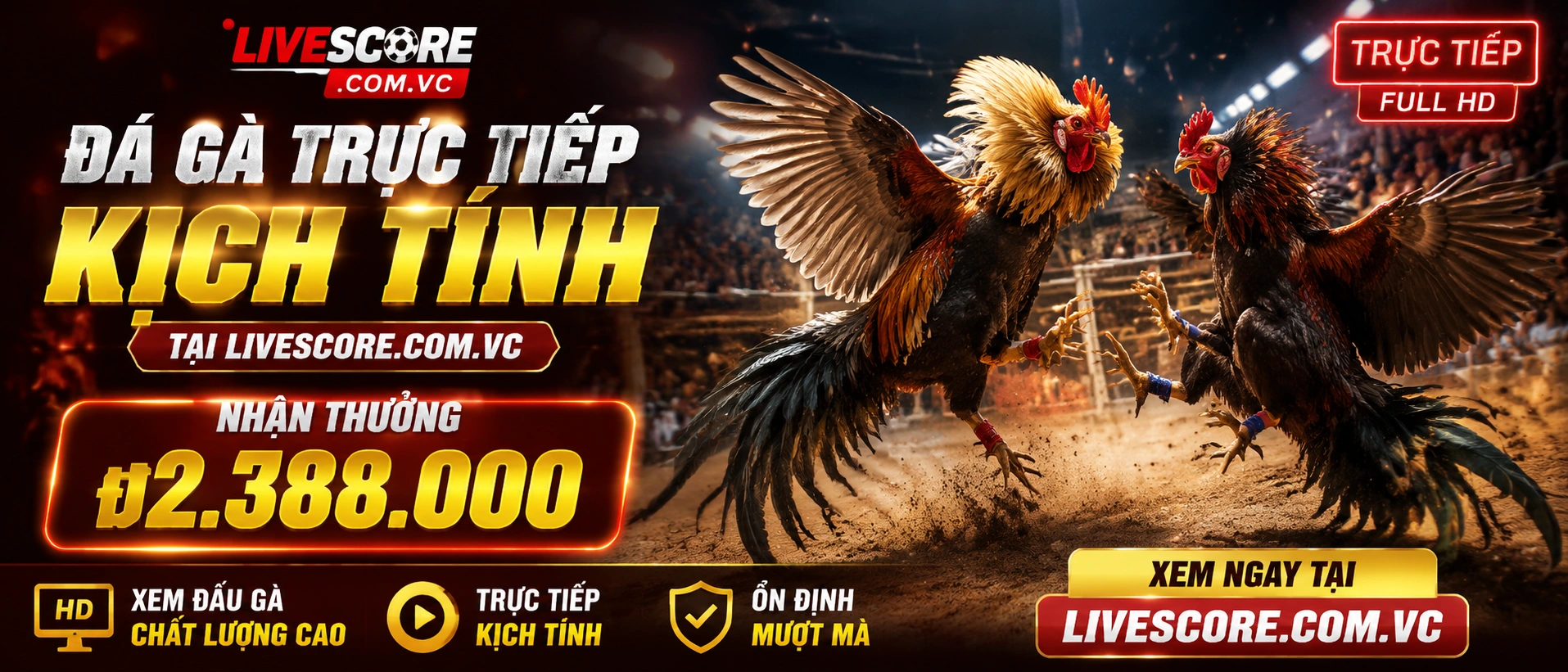 Giao diện Đá Gà Trực Tiếp trên mobile với phòng đấu và bảng kèo rõ
